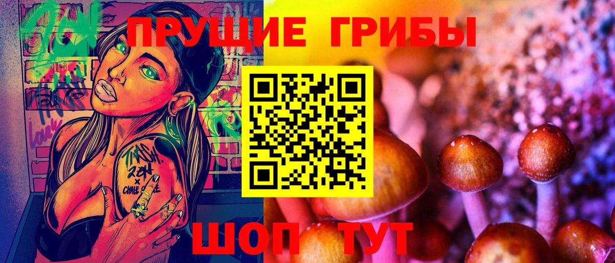 купить наркотик  Вход с VPN  Октябрьский  Псилоцибиновые грибы Cubensis 